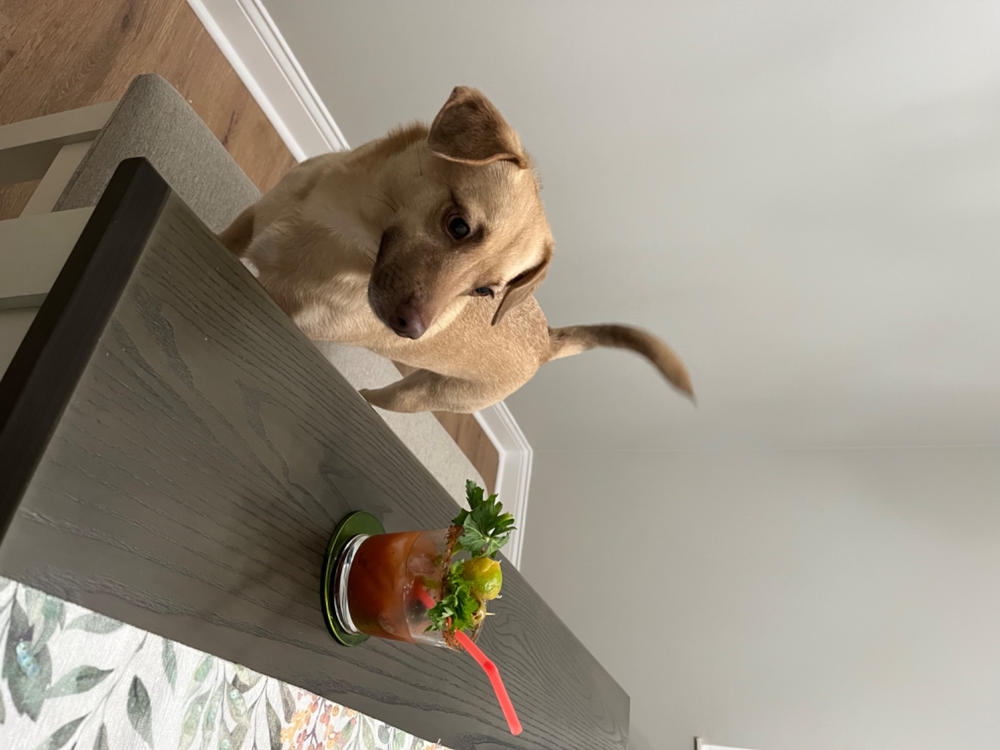 Bloody Mary Mix - Customer Photo From Christine Schroeder
